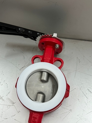 PFA обтянутый и PTFE обтянутый маслянистый клапан BFV Фланцевый тип Wafer Butterfly Valves Pneumatic On Off Valve
